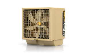 ROTO 80 STANDARD
